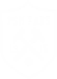 PSM FANS 1915